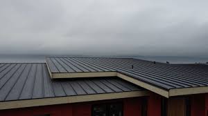 Best Rubber Roofing (EPDM, TPO)  in Edgewood, OH